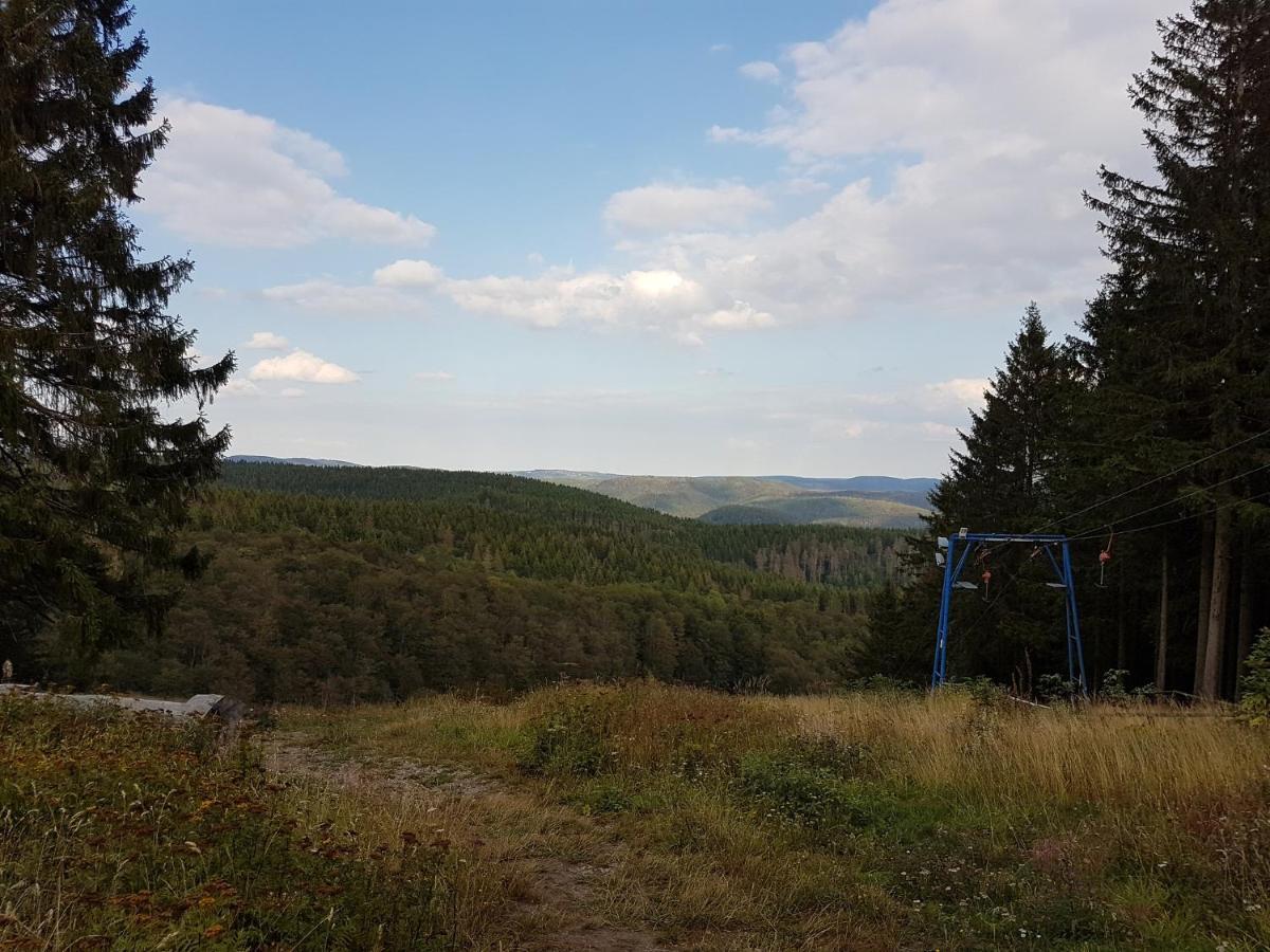 Ferienwohnungen Harz - Wieda Eksteriør billede
